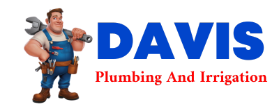 Trusted plumber in DASSEL